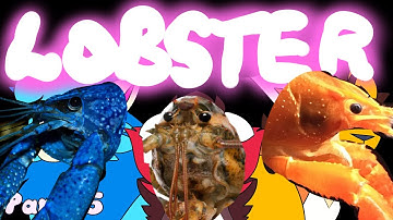 GHOST - THE BROKEN CODE MAP