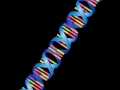 DNA, Chromosomes, And Genes: Unraveling The Essentials Of Genetic Information