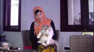 Hobby - Devi Permatasari