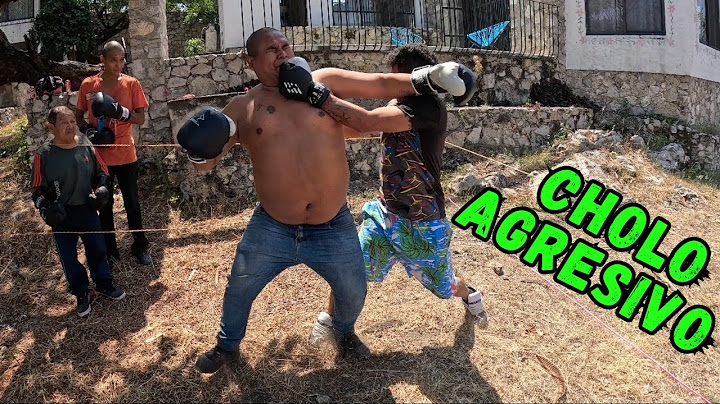 Torneo de Box  (BROMA)