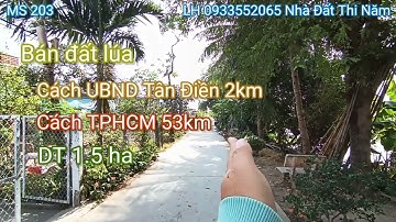 MS 203: Bán đất lúa hạ còn 260 triệu / 1000 m² xã Tân Điền Gò Công Đông Tiền Giang