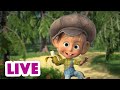 🔴 AO VIVO 👱♀️🐻 Masha e o Urso 👍👧 Acompanhe a Masha 👧🤗 Masha and the Bear LIVE