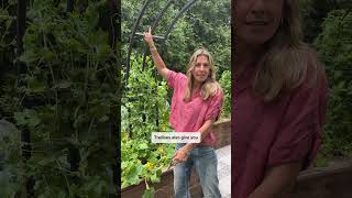 If you want 2x the harvests you have to start growing up!(with trellises) #garden #trellis #plants