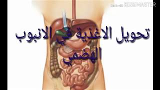 الدرس2 السنة4متوسط علوم