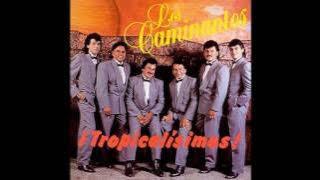 LOS CAMINANTES Y SUS MEJORES CUMBIAS DE LOS 90'S