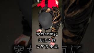 突如地面に倒れ込むマッチョ。彼が立てなくなった恐怖体験とは・・ #shorts