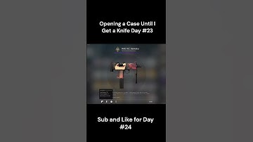 Opening a Case Until I Get a Knife Day #23