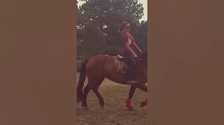 Arlo flat work