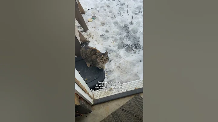 A Day in the Life of an Audiobook Narrator