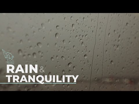 Sounds of Nature - One hour RELAXING sounds of nature / Rain & Tranquility-2019