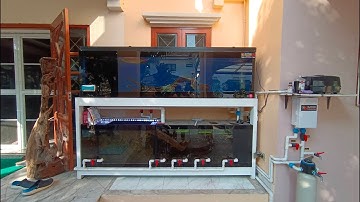 Por พี่ใหญ่ Samurai - NC. ลุยเอง งานล้างใหญ่ตู้ปลา 84" + ล้างกรองบ่อปลาคาร์พ + เติมเมทชุดใหญ่ Set 1