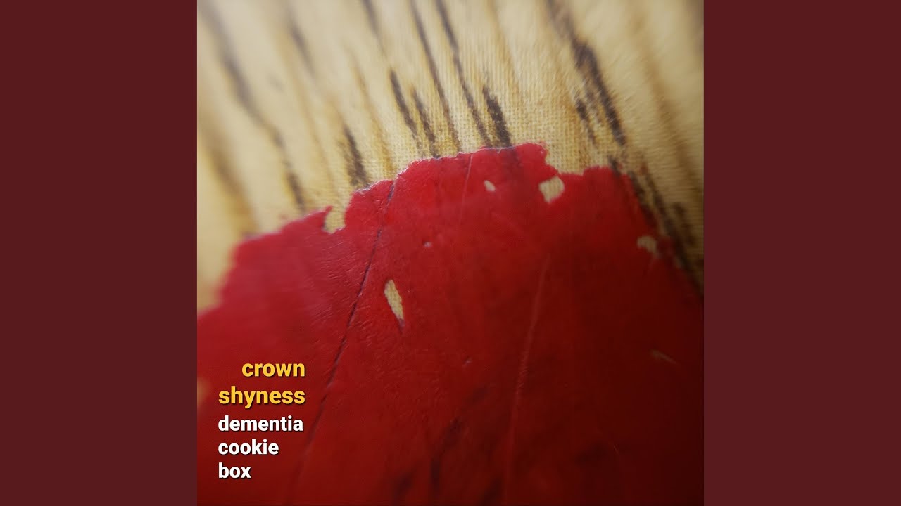 Crown Shyness YouTube