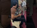 Gitara Muzika
