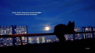 Çağan Şengül - Çok Yazık Slowed & Reverb