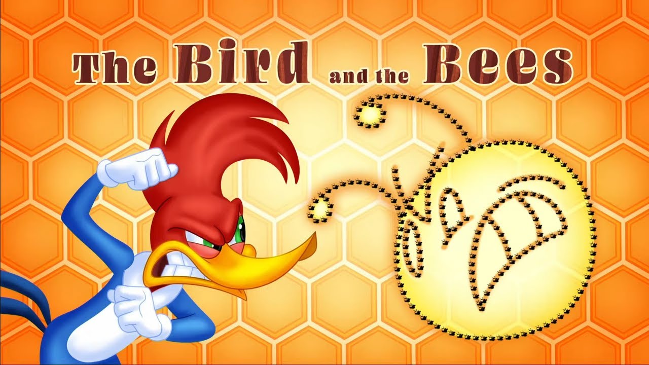 Woody Woodpecker   The Bird and the Bees   Full Episodes