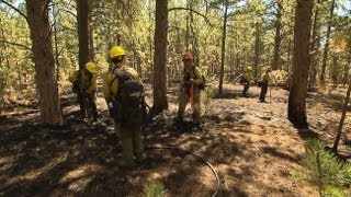 Wildfire's Hidden Dangers