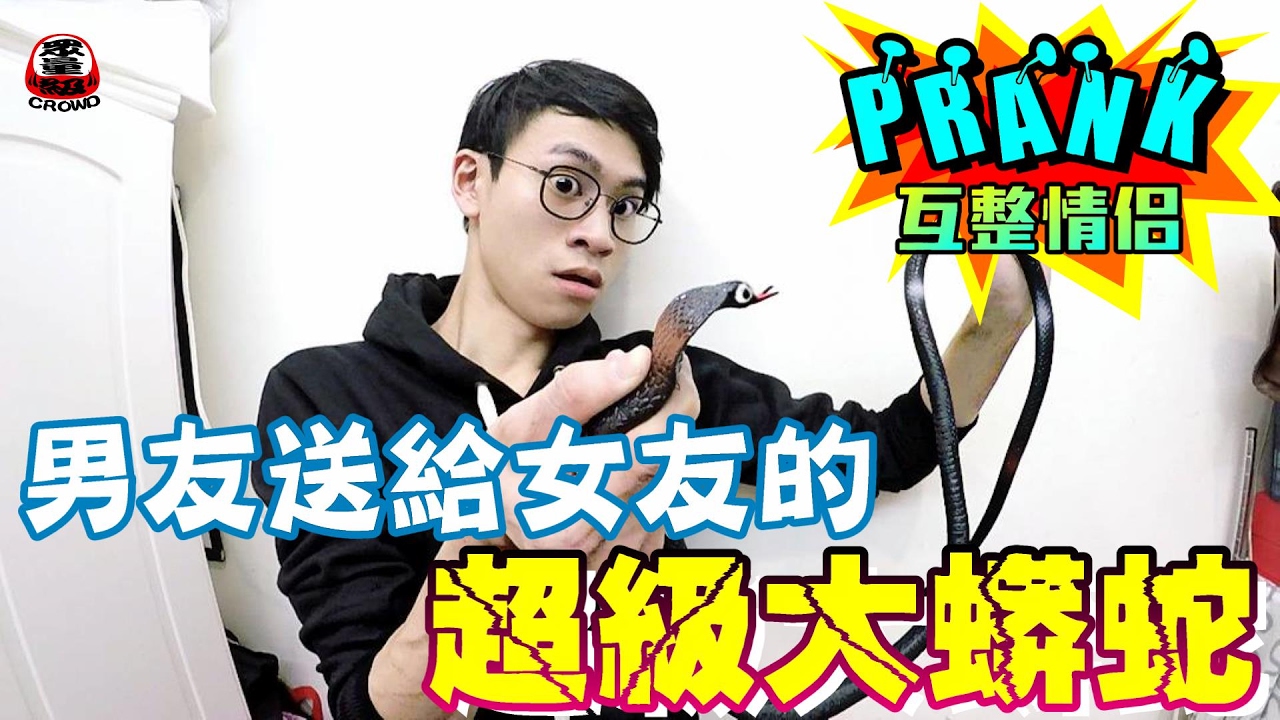 男友送給女友的超級大蟒蛇【眾量級 CROWD │ 整人特輯】