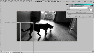 G.I.M.P 2.8 Tutorial: How to Make Pictures Black and White "Like the Pros"