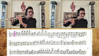 Sechs Sonaten Im Kanon Allegro Ai - Georg Philipp Telemann - Canon No.2 Scolli̇ng Billflute