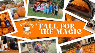 Fall for the magic of Pumpkin Days 2023