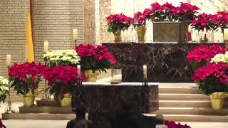 1/31/26 -  The 4th Sunday in Ordinary Time