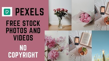 Pexels | Free Stock Photos and Videos No Copyright