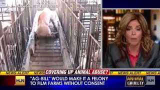 AG GAG Bill - Film Animal Cruelty Factory Farms Felony (USDA Corruption Politics Pictures TV) MFA AG GAG Bill - Film Animal Cruelty Factory Farms Felony (USDA Corruption Politics Pictures TV) MFA