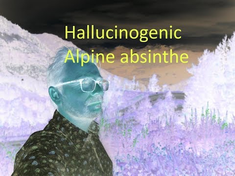 How to make Hallucinogenic alpine absinthe