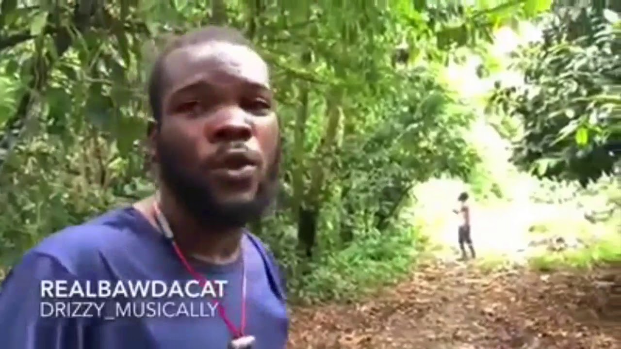 Bawdacat and his brother when to Nanny Town on a educational tour