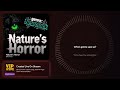 Nature's Horror – bittywood Hype Train Song