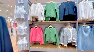 UNIQLO Japan Store Walkthrough 2024 Spring New Collection bags,coats,heat tech &amp; more+PRICES