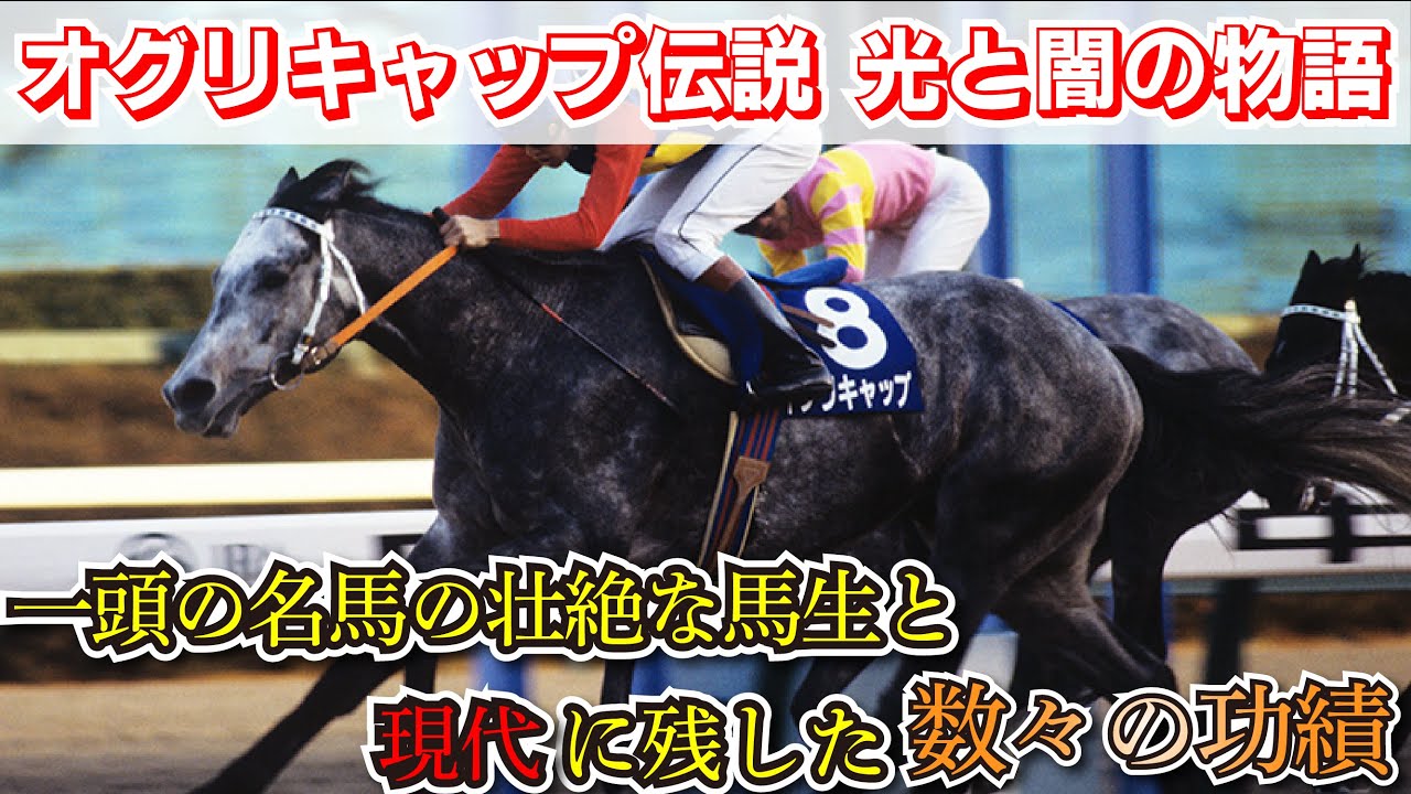 Oguri Cap】The Intense Life of a Legendary Racehorse and Its