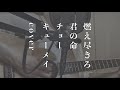 燃え尽きろ君の命 / チョーキューメイ 【弾き語りcover】