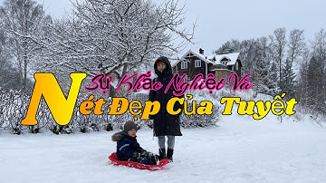 Tuyết Bắc Âu, nét đẹp và sự khắc nghiệt của mùa đông 2023