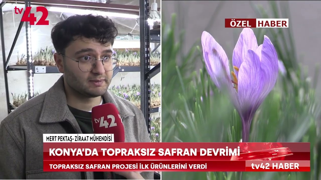 KONYA'DA TOPRAKSIZ SAFRAN DEVRİMİ