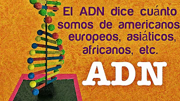 ¿Con qué animal compartimos el 90% del ADN?