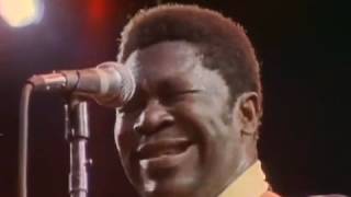 Video thumbnail of "B.B. King - Sweet Sixteen (Live in Kinshasa)"