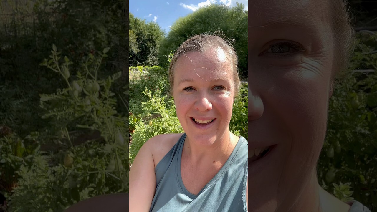 Uploads from From Seed to Spoon Garden Planning App