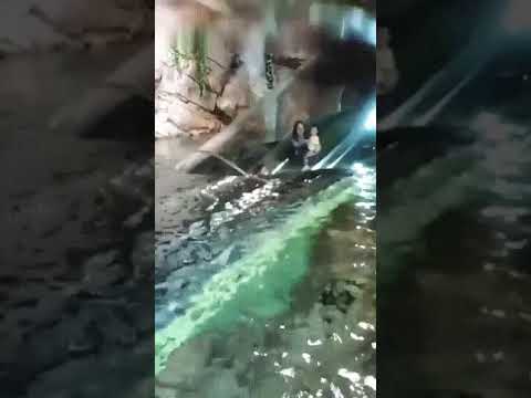 Аквапарк в Шанхае