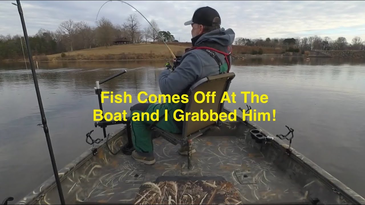 Fish Comes Off At The Boat and I Grabbed Him!