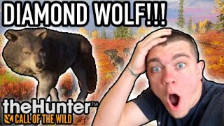 MY FIRST DIAMOND WOLF + 100k Giveaway!!! Hunter Call of the Wild Ep.28 - Kendall Gray screenshot 5