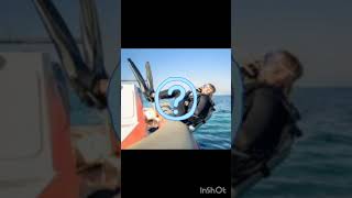 Famous Why scuba divers fall backwards Wealth