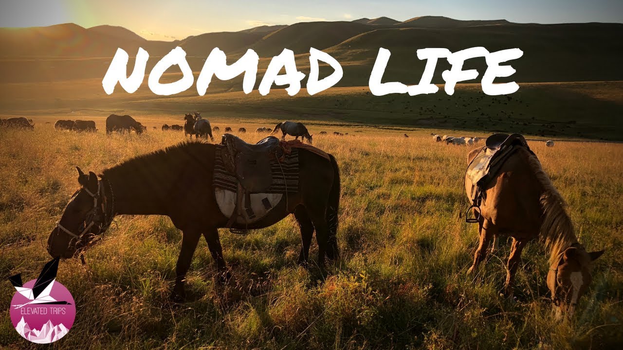 Номад лайф. Nomad. Nomadic Life. Nomad надпись. Nomad & Lola.