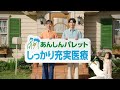 ほしい安心で「生きる」を彩る保険 あんしんパレット　結婚への備え篇　字幕