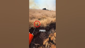Why Firefighters Use Fire to Stop Wildfires