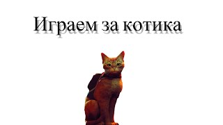 Играем За Котяру | Stray 5 Часть