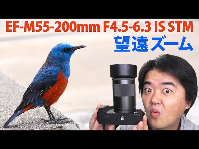 Canon EF-M55-200mm F4.5-6.3 IS STM 望遠ズームレンズ 軽くて