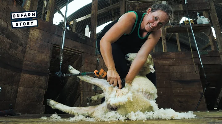 Welch Shearing - Chasing Perfection in Northern Wa...