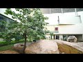 SGSDA Campus View SGSDA Campus View