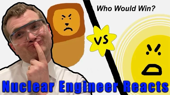 Nuclear Engineer Reacts to 1 Trillion Lions VS Sun: Solved with Science